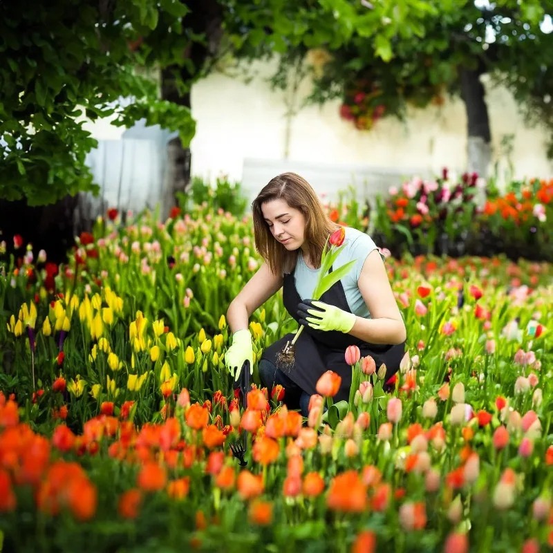 Rastrello da Giardino 2 in 1 M - Gardening Tools Shovel recensione e prezzo