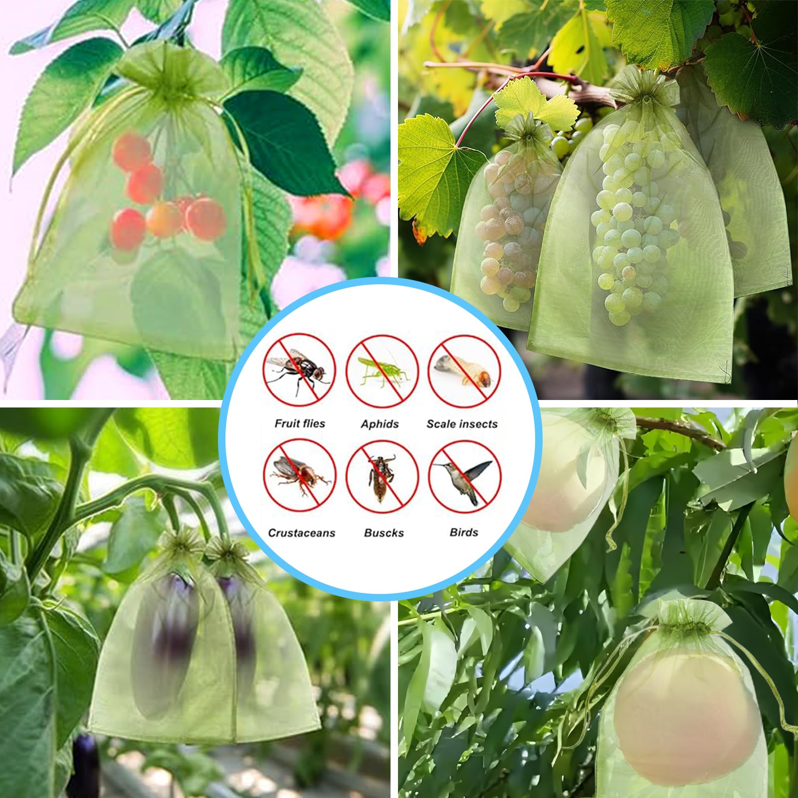 Rete Anti-Uccelli Efficace, Sa - Outdoor Planting Bag recensione e prezzo