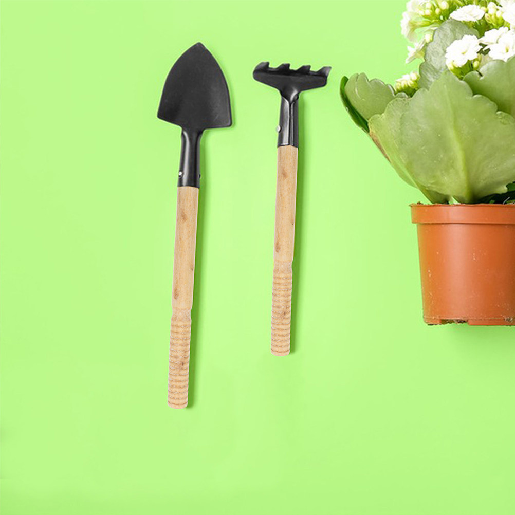 5 Pezzi di Manici in Legno Rob - Gardening Tools Shovel recensione e prezzo