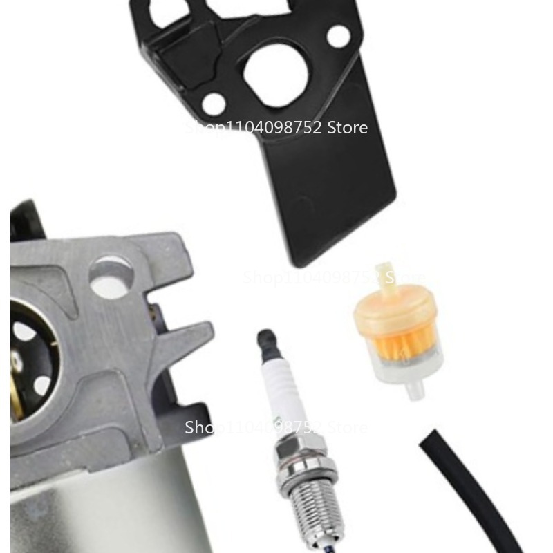 Kit carburatore per B&S 596080 - Gardening Tools B&M recensione e prezzo