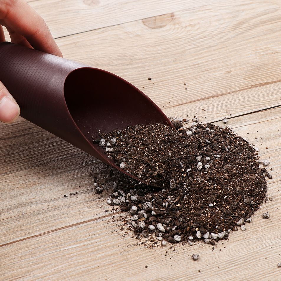 1 pz plastica terreno pala taz - Gardening Tools Shovel recensione e prezzo